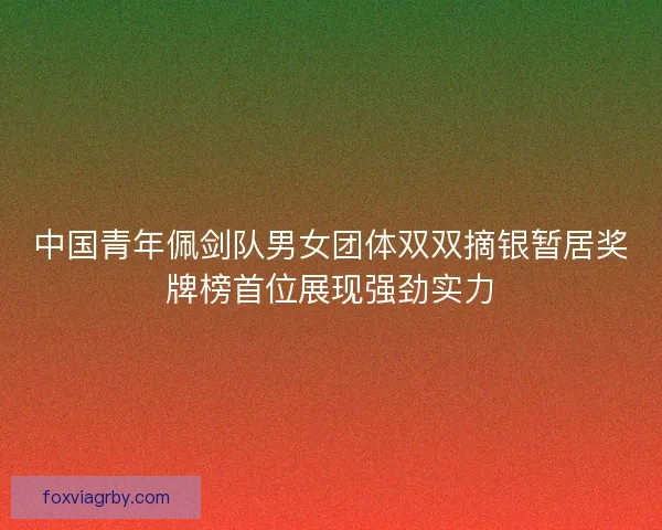 中国青年佩剑队男女团体双双摘银暂居奖牌榜首位展现强劲实力