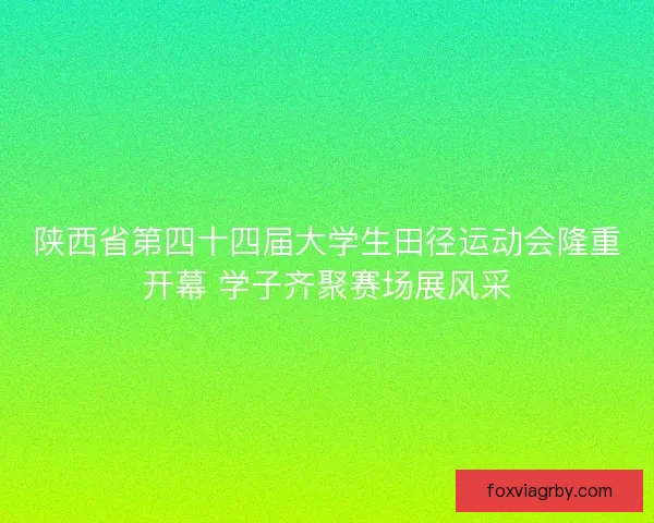 陕西省第四十四届大学生田径运动会隆重开幕 学子齐聚赛场展风采
