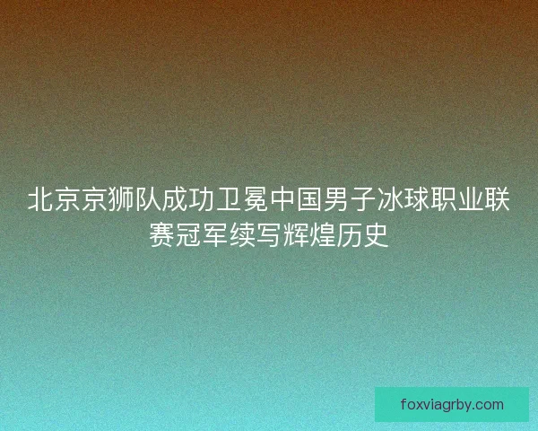 北京京狮队成功卫冕中国男子冰球职业联赛冠军续写辉煌历史